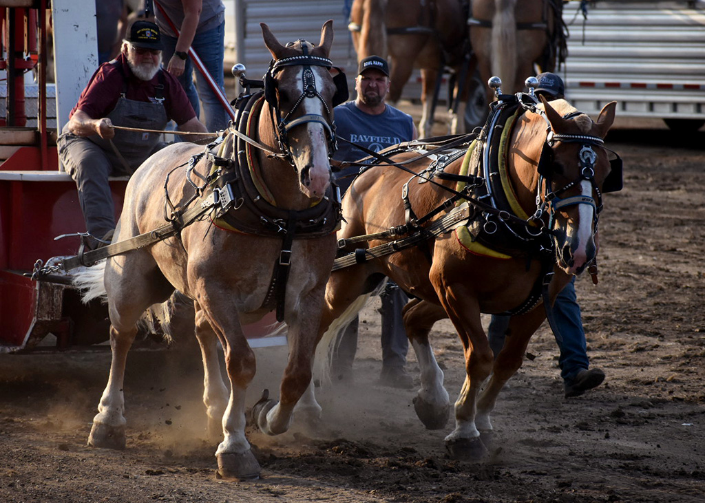 Draft Horse Pulls at the McHenry County Fair