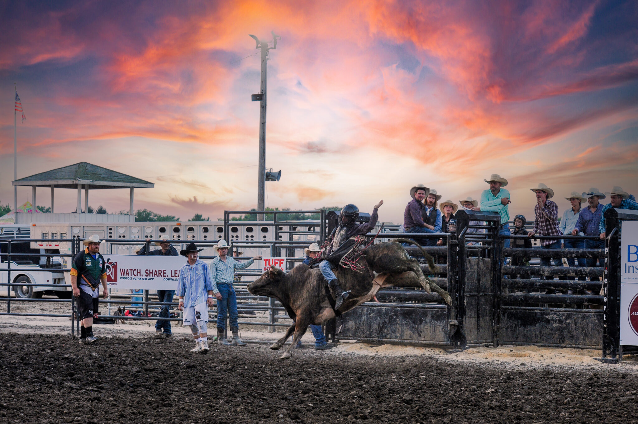 Bull Riding – McHenry County Fair 2026